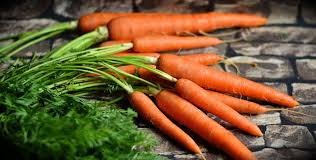 Dès 15/18 mois : Souper - Velouté de carottes au cumin et boulgour aux fruits secs Texture "Mouliné" DLC 08/04/2024