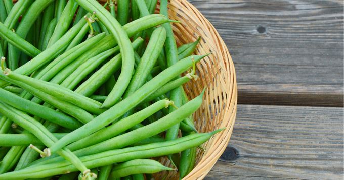 Purée d'haricots verts DLC 08/08/2024