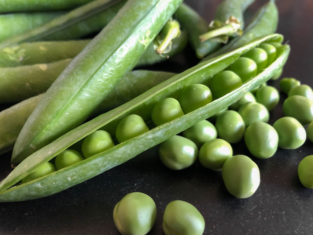 Dès 10/12 mois : Déjeuner - Petits pois aux petits oignons et cumin, Semoule à la crème et sauté de dinde Texture "Mouliné" DLC 05/08/2024