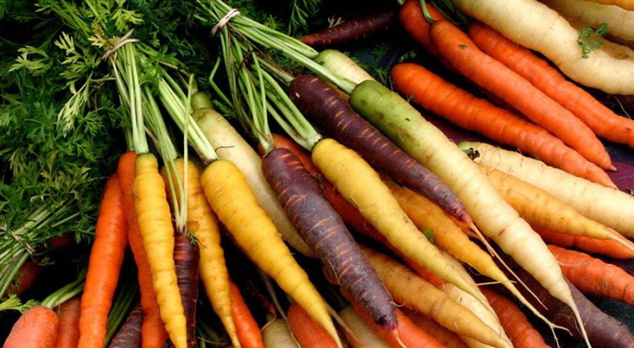 Dès 15/18 mois : Souper - Carottes et Navets à l'ail noir, Pâtes au curry Texture "Mouliné" DLC 02/03/2025