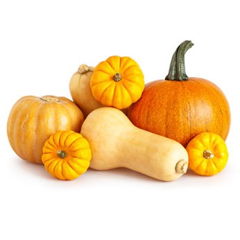 Purée de Courge DLC 23/04/2025