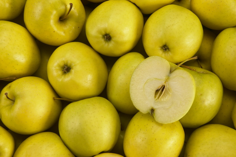 Compote de Pommes DLC 01/05/2025