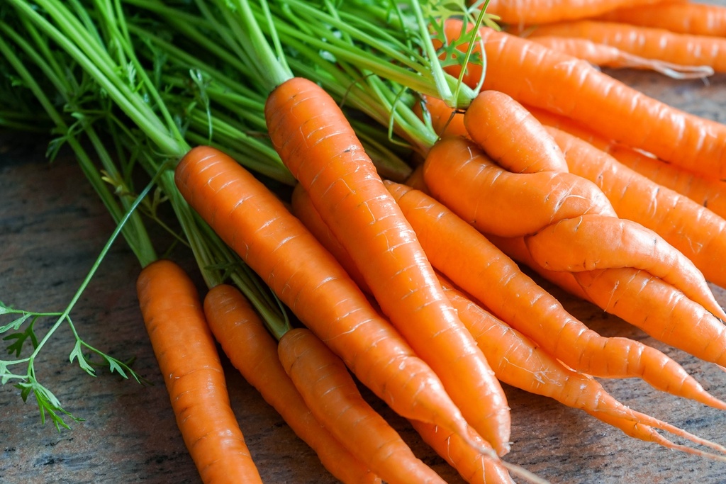 Purée de Carottes DLC 06/05/2025