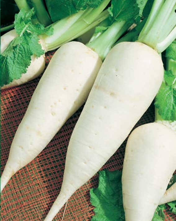 Dès 6/8 mois : Déjeuner - Navets glacés à la figue, filet de queue d'Eglefin et riz au lait de coco Texture "Lisse" DLC 31/07/2025