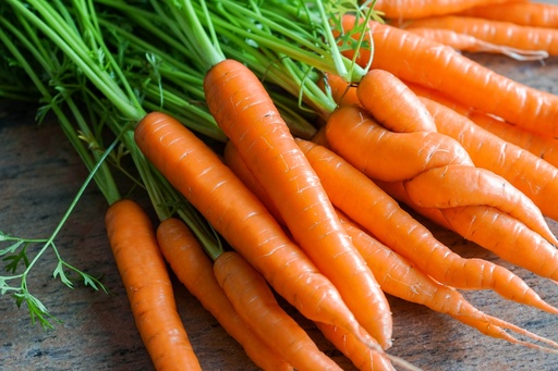 Purée de Carottes DLC 06/05/2025