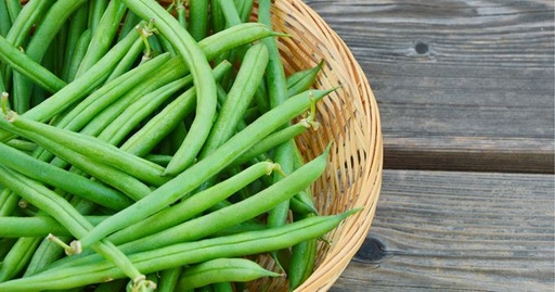 Purée d'Haricots verts DLC 02/06/2025