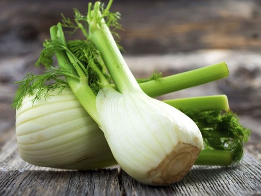 Dès 15/18 mois : Déjeuner - Courgettes et Fenouil à la sauce tomate, pâtes au basilic et dos d'Eglefin à l'huile d'olive Texture "Morceaux" DLC 27/07/2025